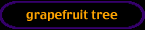 grapefruit tree