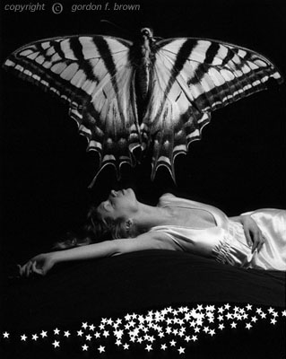 butterfly dream