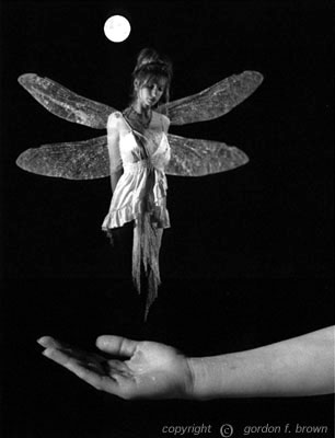 tinkerbelle