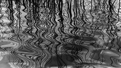 barber lake