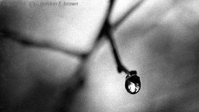 raindrop