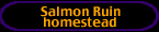 salmon ruin